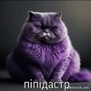 fshrrr_09