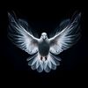 BIBLIA7