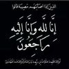 gehadmahmoud148