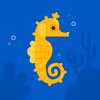 sea_horse16