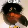 pbody89