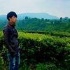 yaichandra1