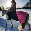 horses_294