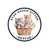 starhavenkittenrescue