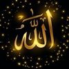 fazel91