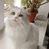 elena_240822