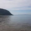 tazmafire