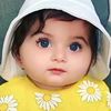 user4981321939325