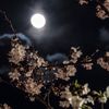 avax_n7.10