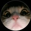 josue23881