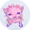 littlee_ashi