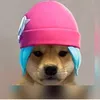 ablieoneu1