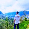 wildhanid