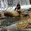 aliali1996144