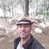 mariusdragan70