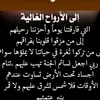 user5442280639327