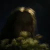 tremixty