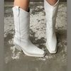 boot_lick