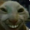 baraasalah25