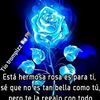 princesasreyes5