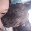 luvs4nevaehhh