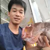 tycabien