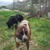 montsegrau1