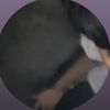 zpierx_7