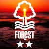 nffc_fan2011