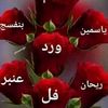 adw.farss.raged