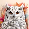 hazoulehibou