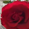 faisal123436666