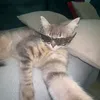 kat0_63