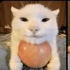 oofway0