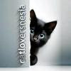 catloversnesia