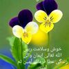 safina_kousar1