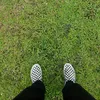 reffocus