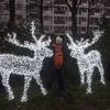 tonilehikoinen