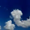 tojis_wife2