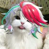 niwerstar