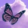 user1059029942911