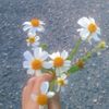bil_thy