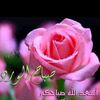 dysfb9vb6jop