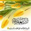 naveedfatima6