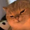 kenpvp09