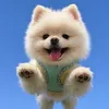 doodiethepom