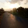 thanhtruong938