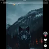 tamrdnchawretm1