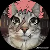 najtnajt