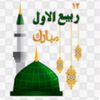 nousheen.agha